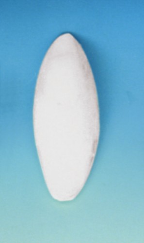 Sepiová kosť pravá 12,5-15 cm T
