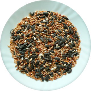 Zimná zmes do krmítok 1kg (10ks/bal)