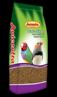 Agapornis profesional 20kg